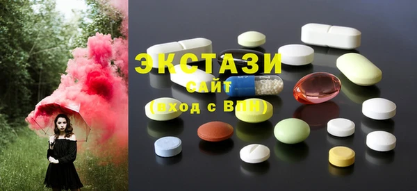 spice Богородицк
