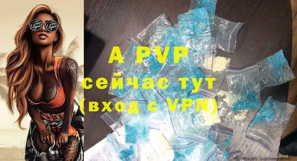 ешки Белокуриха