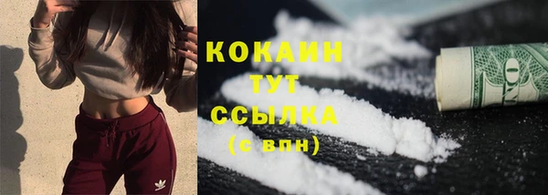 ешки Белокуриха