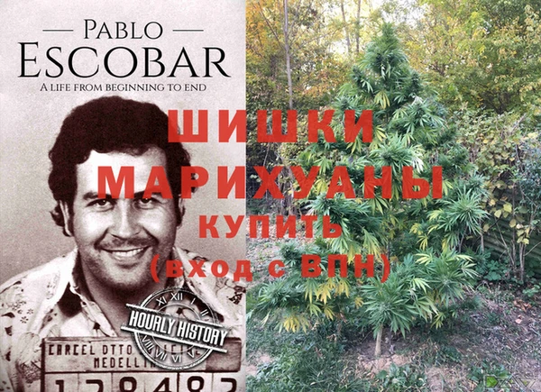 ешки Богданович